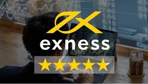 Understanding the Exness Web Platform A Trader's Guide